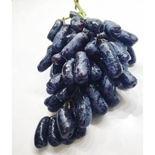 Çiçek Life Parmak Üzüm Fidanı Açık Kök 40 50 cm Boy