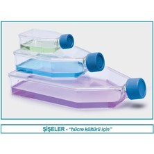 Isolab 120.11.075 Şişe  Hücre Kültürü  Geçirgen Kapaklı  75 Cm2  25 ml 100 Adet