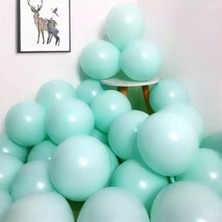 Hknys 40 Adet Makaron Soft Mint Yeşili Renk Balon-Pastel-Soft Balon-Dogum Günü Parti Balonları