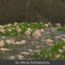 Sanal Öğretim 3ds Max 2021 Animasyon 2.bölüm Video Ders Eğitim Seti