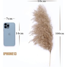 Alyones 10 Adet Kabarık Pampas Otu 100CM Doğal Kuru Pampas Dekor Boho Oda Çiçekleri Dekorasyonu