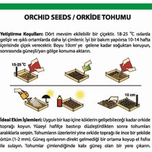 Day 50 Adet Bordo Orkide Tohumu + 10 Adet Hediye Gülü Tohumu