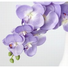 Day 100 Adet Lila Renk Orkide Tohumu + 10 Adet Hollanda Gülü Tohumu
