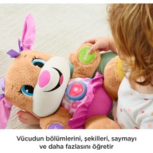 Fisher-Price Eğlen & Öğren Yaşa Göre Gelişim Eğitici Köpekçiğin Kız Kardeşi (Türkçe), Sesli, Işıklı Oyun Arkadaşı, Pembe Fpp83