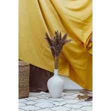 Alyones Pampas Natural Pampas 100 cm 10'lu