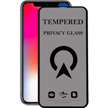 Kzy Apple iPhone x Tam Kaplayan Privacy Hayalet Temperli Ekran Koruycu Cam