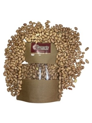 Akdeniz'in Incisi Kaş'tan Çiğ Yer Fıstığı 500 Gr.