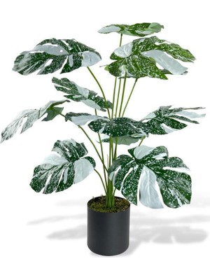 Nettenevime Yapay Çiçek Saksıda Monstera Yeşil Beyaz Deve Tabanı 12DAL 70CM Salon Çiçeği Yapay Bitki