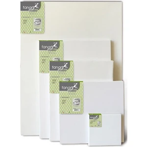 Studio Tuval 30X40CM LV-F-AP320A-3040