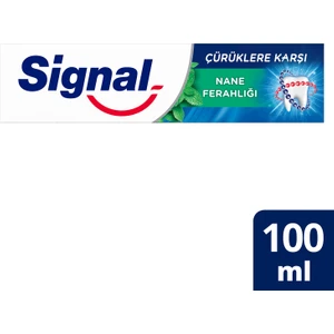 Diş Macunu Çürüklere Karşı Nane Ferahlığı 100 ml