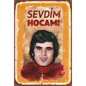 Hayat Poster Yeşilçam Replikleri Tarık Akan Retro Ahşap Poster