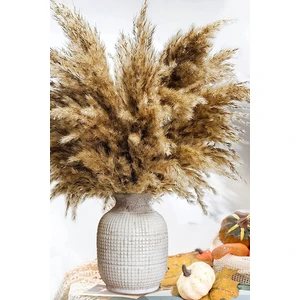 10 Adet Kurutulmuş Pampas Otu, 100 cm Boyunda Pampa Otu Görkemli Otu Kabarık Pampas Otu