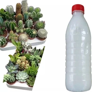 Berke Fidancılık Kaktüs ve Sukulentler Için Özel Ilaç Karışımı 500 ml