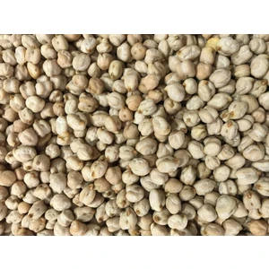 Karahasanoğlu Tarım Yerli Nohut Tohumu 100 gr