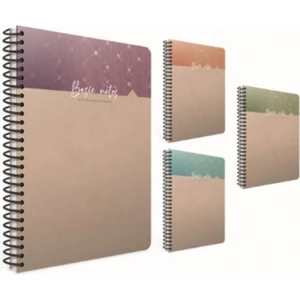 Basıc Notes Sp.sert Kapak Defter 19X26 100 Yp.kareli