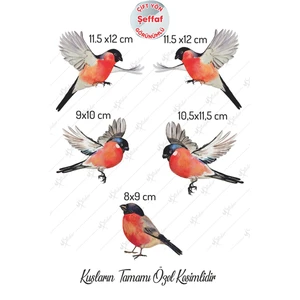 Yılbaşı Kış Kuşları Cam Duvar Sticker Seti  - Yılbaşı Sesi Şeffaf