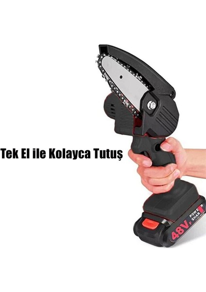 Fiorentini Şarjlı Çift Akülü Budama Testeresi Bağ Dal Makinesi 48V