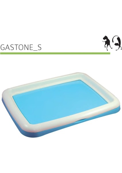 Mp Köpek Çiş Eğitim Gastone S 48*38*4cm