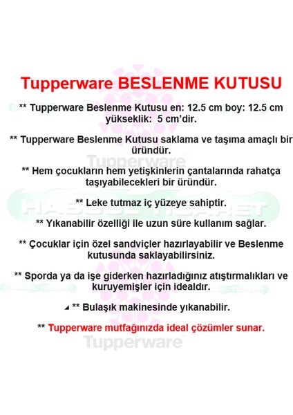 Beslenme Kutusu Taşınabilir Sandviç Kabı Anna&elsa-Olaf Hsgl