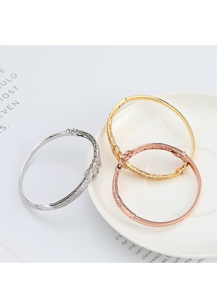 Kadın Bilezik Italyan Takı Paslanmaz Çelik Takı (Yurt Dışından) fırsatları