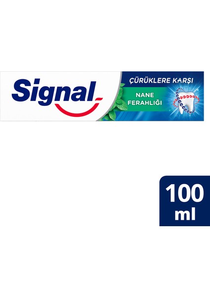 Diş Macunu Çürüklere Karşı Nane Ferahlığı 100 ml