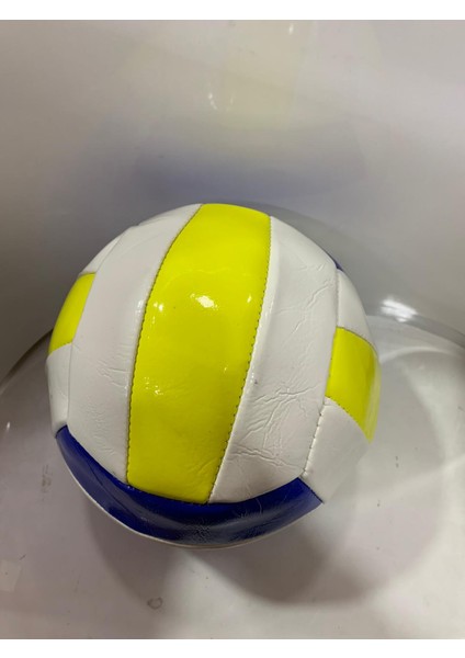 s Şişik Voleybol Topu