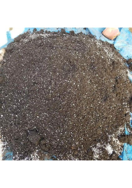 Gübre Katkılı Yüksek Kalite Kaktüs ve Sukulent Toprak Karışımı 10 Lt