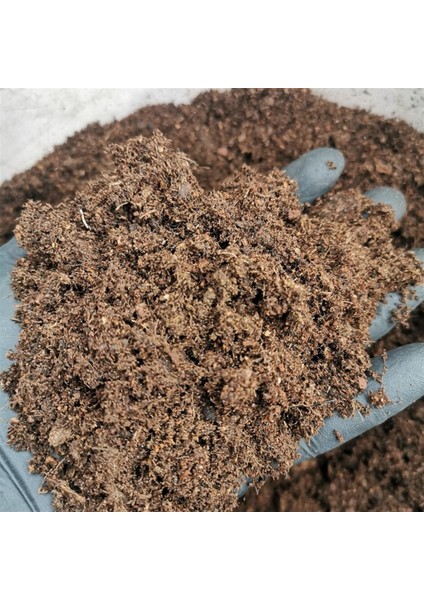 Gübre Katkılı Yüksek Kalite Kaktüs ve Sukulent Toprak Karışımı 10 Lt