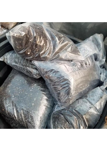Gübre Katkılı Yüksek Kalite Kaktüs ve Sukulent Toprak Karışımı 10 Lt