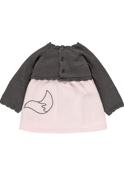 Kız Bebek Uzun Kollu Elbise Pembe fiyatları