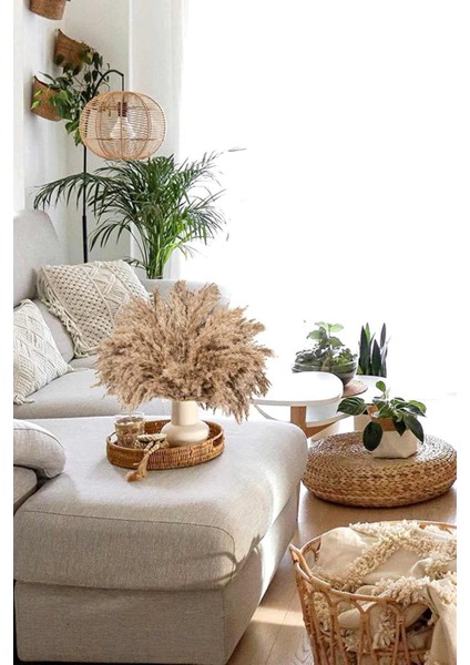 10 Adet Görkemli Kurutulmuş Pampas Bitkileri Kabarık Pampas Otları, Yapay Çiçek, Vazo Dahil Değildir fiyatları