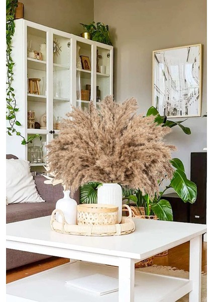 10 Adet Görkemli Kurutulmuş Pampas Bitkileri Kabarık Pampas Otları, Yapay Çiçek, Vazo Dahil Değildir fırsatları