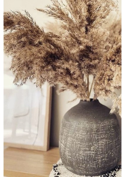 10 Adet Görkemli Kurutulmuş Pampas Bitkileri Kabarık Pampas Otları, Yapay Çiçek, Vazo Dahil Değildir indirimleri