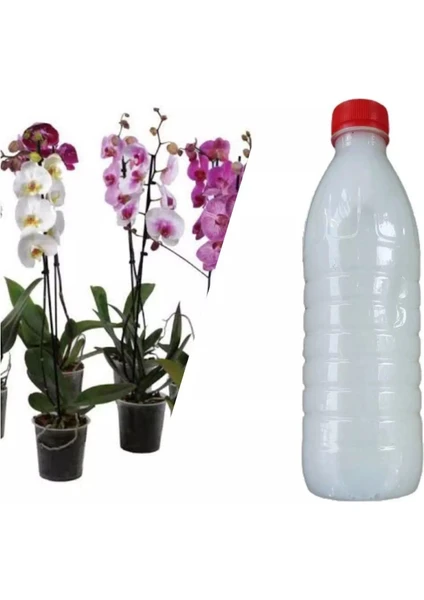 Berke Fidancılık Orkideler Için Özel Ilaç Karışımı 500 ml