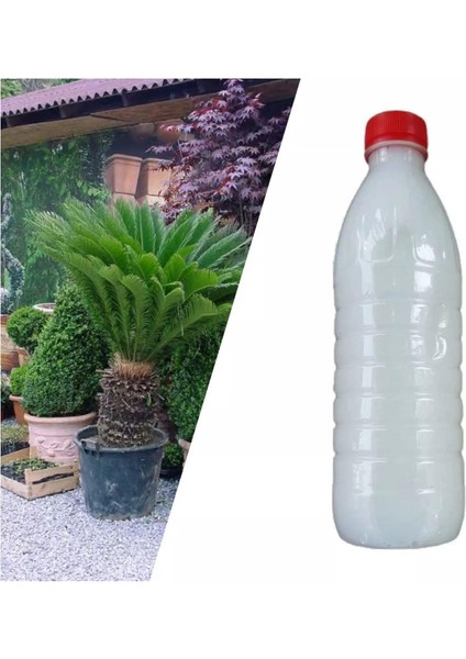 Berke Fidancılık Dış Mekan Bitkileri Için Özel Ilaç Karışımı 500 ml