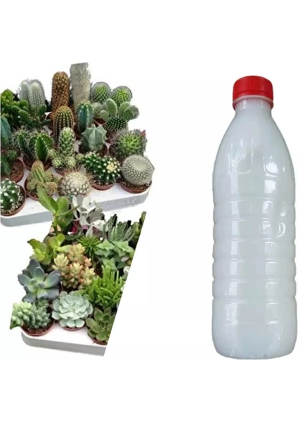 Berke Fidancılık Kaktüs ve Sukulentler Için Özel Ilaç Karışımı 500 ml