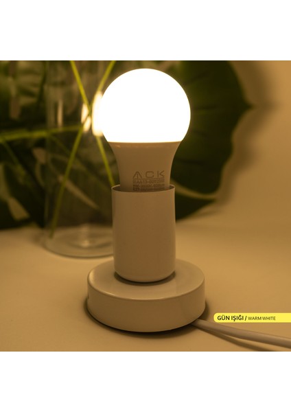 9W 10'lu Paket LED A60 Ampul 3000K Gün Işığı E27 modelleri