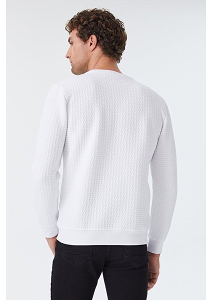 Erkek Sweatshirt LF2025441