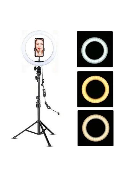 Standlı Full Konsept Çoklu Renk Sıcaklığı Youtuber Tiktok Tripod LED Işık 10 Inç 26 cm Tripod