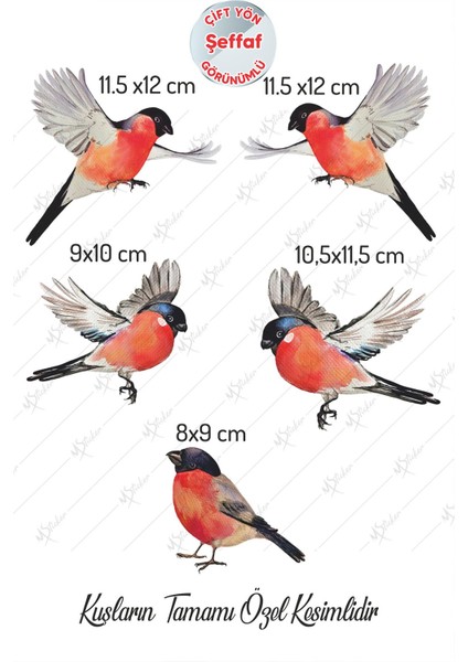 Yılbaşı Kış Kuşları Cam Duvar Sticker Seti - Yılbaşı Sesi Şeffaf