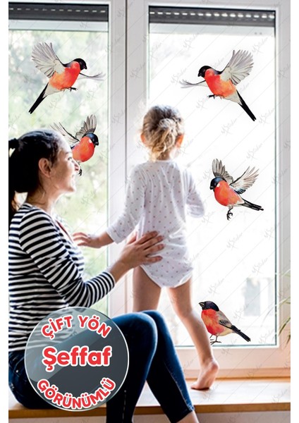 Yılbaşı Kış Kuşları Cam Duvar Sticker Seti - Yılbaşı Sesi Şeffaf fiyatları