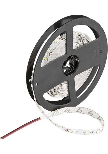 CT-4534 10ç Dış Mekan Rgb LED Şerit (5MT-10LU) Cata