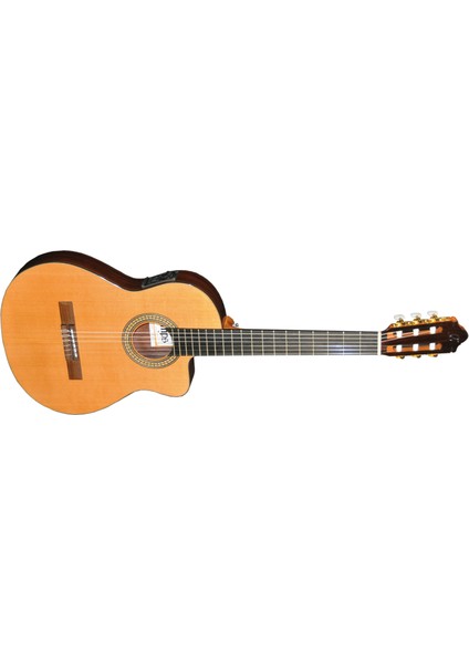 NAC2PRO Elektro Klasik Gitar Fıshman Pro Blend