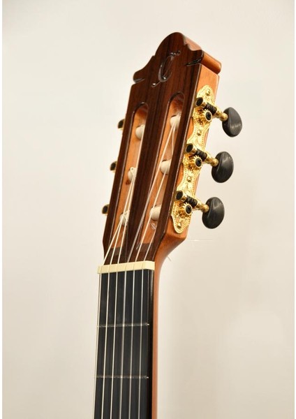 NAC2PRO Elektro Klasik Gitar Fıshman Pro Blend fırsatları