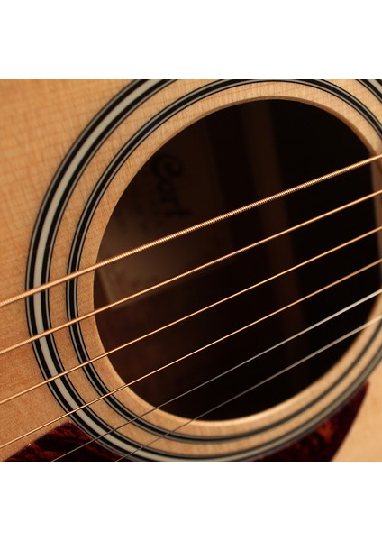 Müzik Cort AD810OP Akustik Gitar, Open Pore, Ladin Kapak, Arka yanla