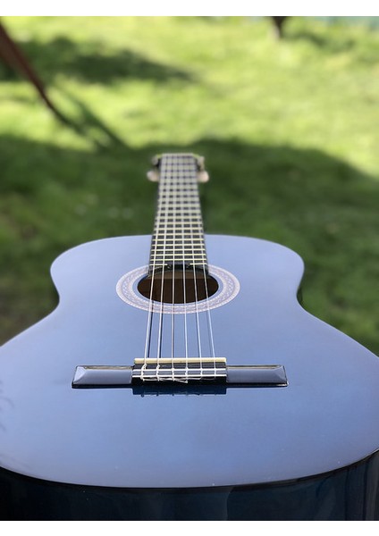 Valencıa VC104TRDS Klasik Gitar 4/4 Kırmızı Sunburst Sap Çelikli fiyatları