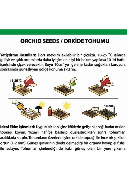 50 Adet Lila Renk Orkide Tohumu + 10 Adet Hollanda Gülü Tohumu