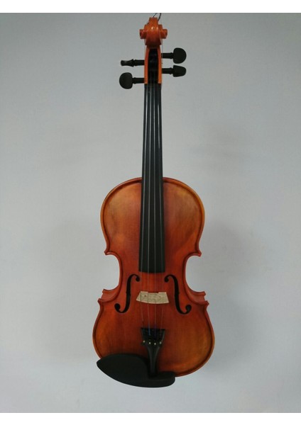 Valencıa V16044MAT Keman, Scale 4/4, Mat, Klavye Karartılmış Akçaa