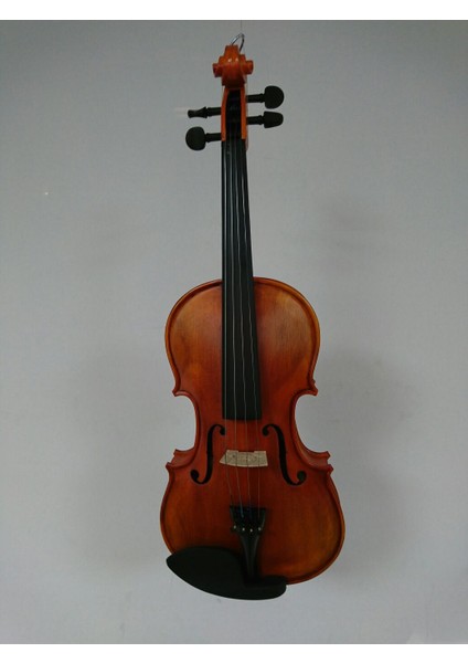 Valencıa V16044MAT Keman, Scale 4/4, Mat, Klavye Karartılmış Akçaa