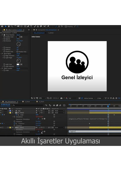 After Effects Reklam ve Jenerik Uygulama Video Ders Eğitim Seti